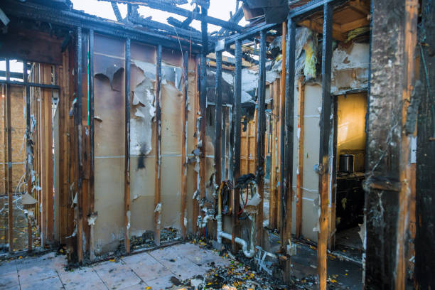 Professional Fire Damage Repair technician working in Delano, MN